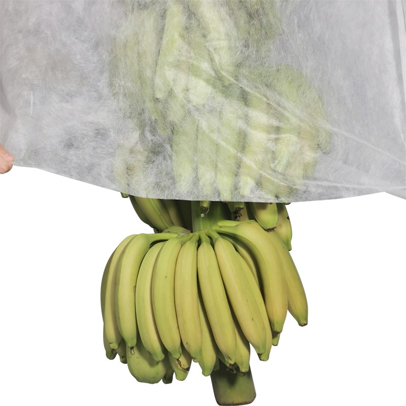 product-Eco friendly Agriculture plant cover pp nonwoven banana bag 1~4 uv resistence Agricultural N