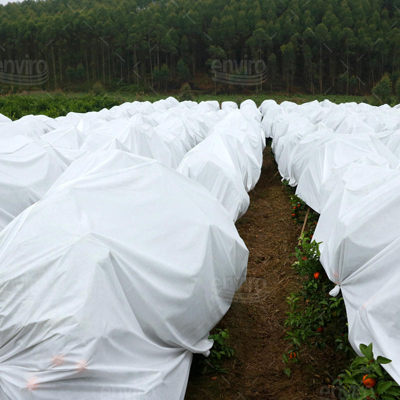 Greenhouse Agricultural High Quality Row Covers Frost Cover For Plants
