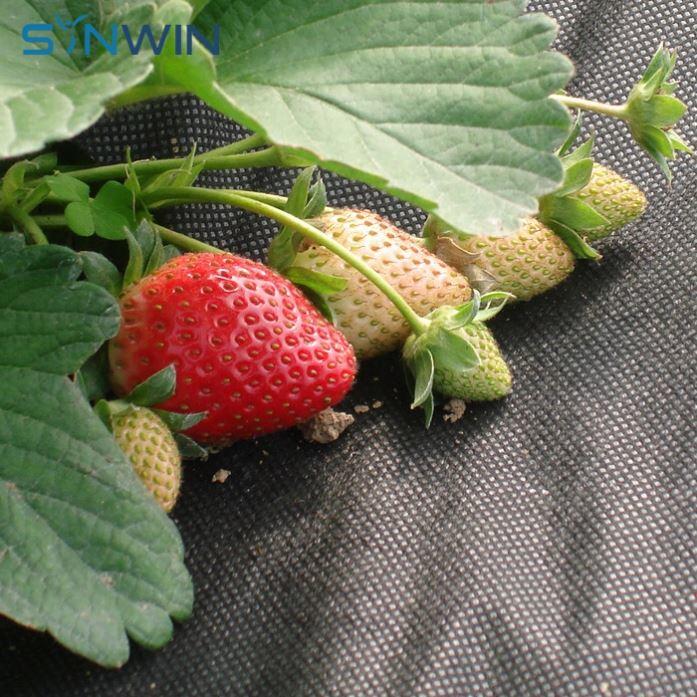 agriculture fruit protecting garden plant fruit flower protect eco-friendly nonwoven fabric