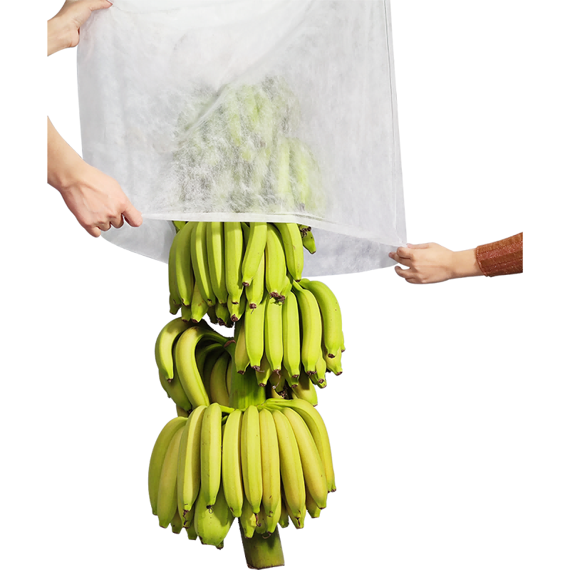 Good morning! Banana Bag... - The Dysautonomia Project | Facebook