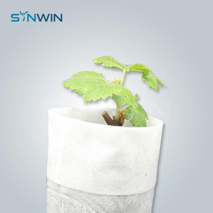 Plant Cover  - SW-AG003