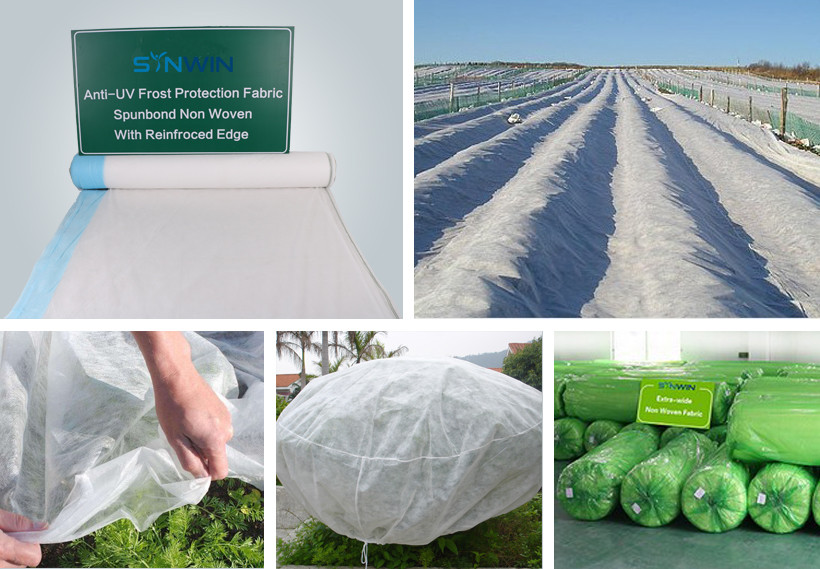 Synwin Non Wovens-High Quality 17gsm Frost Protection Nonwoven Fabric With Wide Width 64m Factory-9