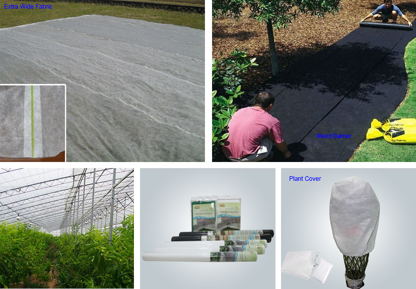 Synwin Non Wovens-2 UV Agriculture Non Woven Protection Cover Film For Plant Grow-9