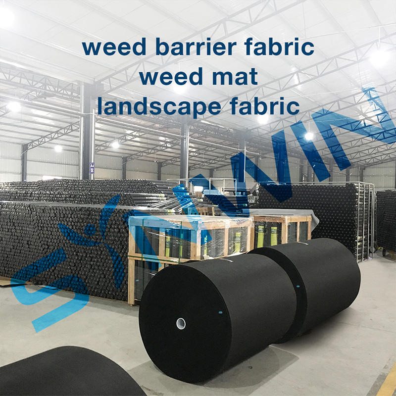 Non Woven Weed Control Fabric Wholesale Supplier & Factory